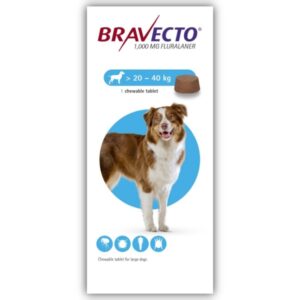 DOG BOARDING BRAVECTO The dog father boarding hotel for dogs