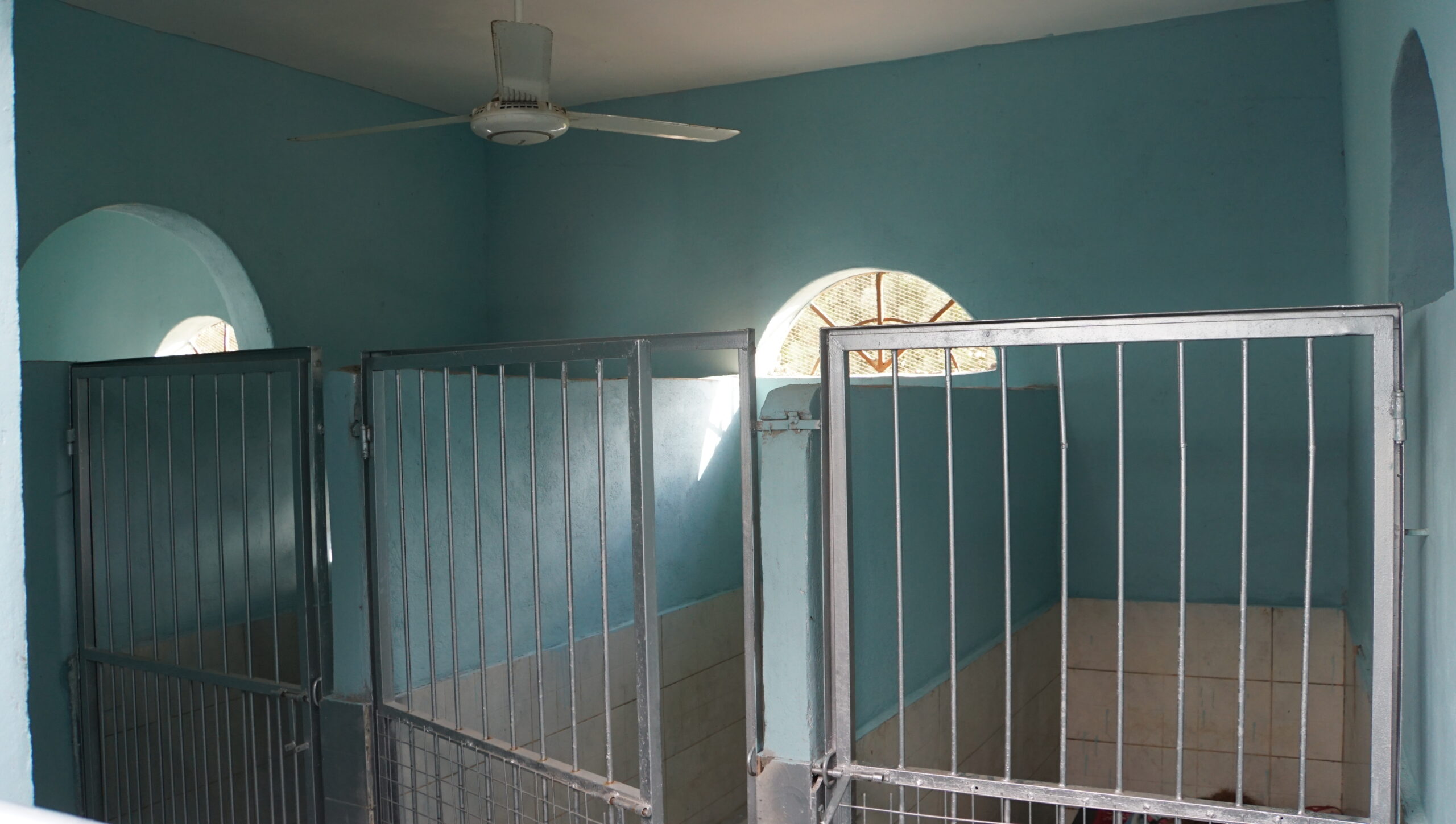 Dog Boarding rooms