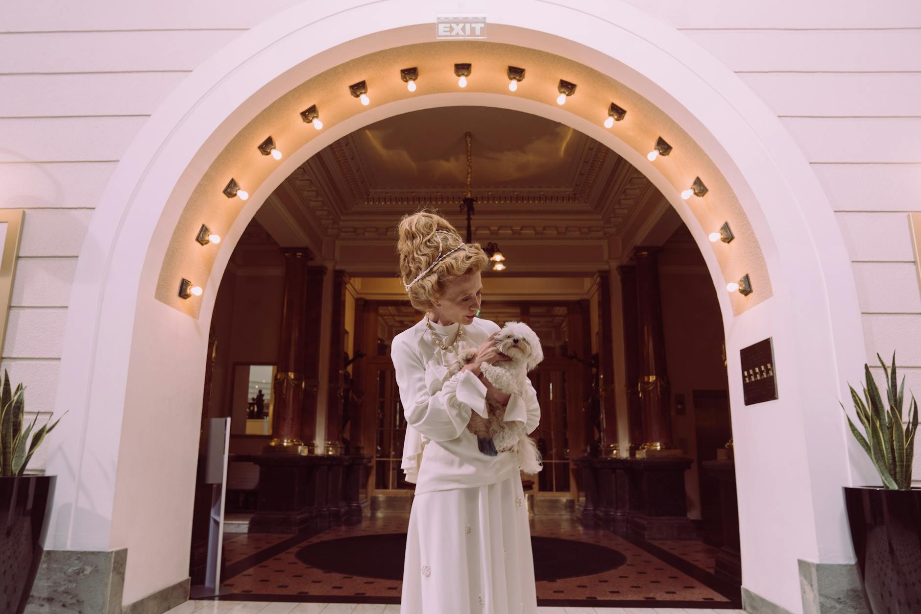 dog boarding luxurious entrance The dog father boarding hotel for dogs