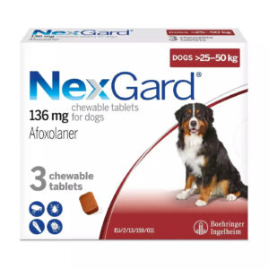 The dog father boarding hotel for dogs nexgard defleas
