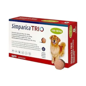 The dog father boarding hotel for dogs simparica trio defleas